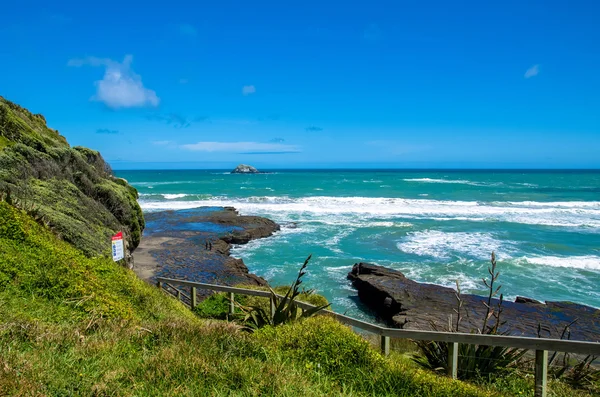 北島のオークランド、ニュージーランドの西海岸のムリワイ リージョナル パーク — ストック写真