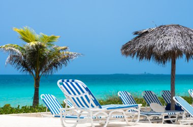 Güneşlenme ile Palm Beach