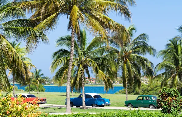 Havana, Küba - 17 Haziran 2015: Küba renkli Amerikan Klasik arabaları park avuç içi altında ve avuç içi altında beachcuba renkli Amerikan Klasik arabaları park yakınındaki ve plaja yakın