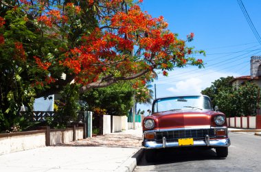 Havana, Küba - 21 Haziran 2014: Küba şarap kırmızı Amerikan eski model araba caddenin önünde kırmızı bir ağacın altında görünüm Park