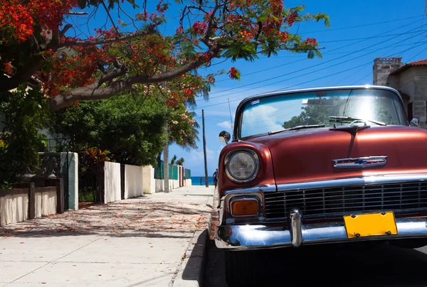 Havana, Küba - 21 Haziran 2014: Küba şarap kırmızı Amerikan klasik otomobil kırmızı bir ağacın altında park etmiş.