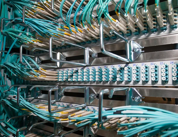 Gemeinsames Glasfaser-Patch-Panel in einem Rechenzentrum — Stockfoto