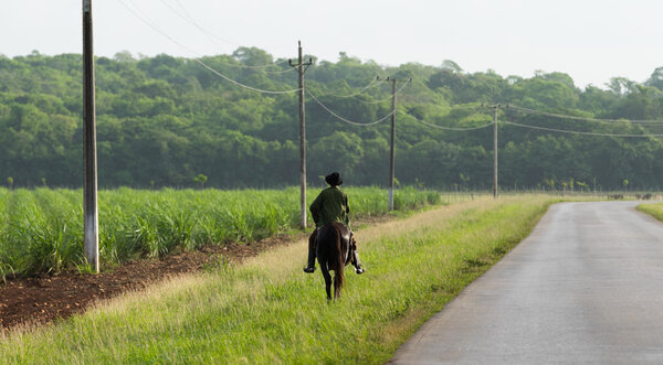 Кубинский Гаучо в сельской местности из Санта-Клары Куба

