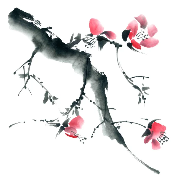 Çiçeği sakura. Çiçek şekil..