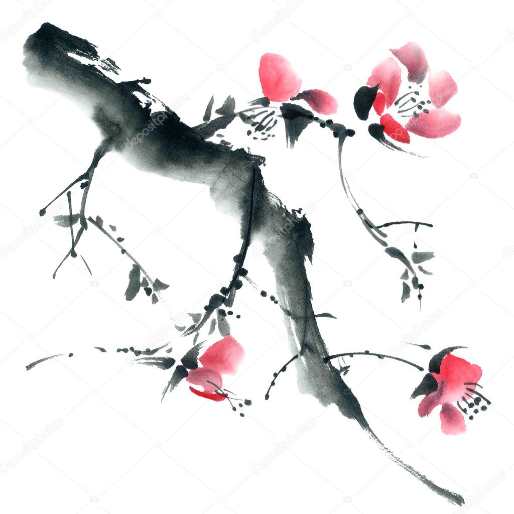 Blossom sakura. Flowers illustration..
