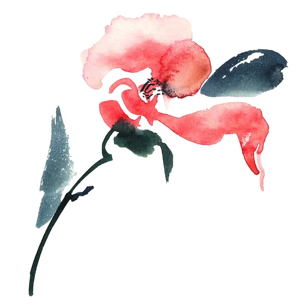 Röd blomma illustration — Stockfoto