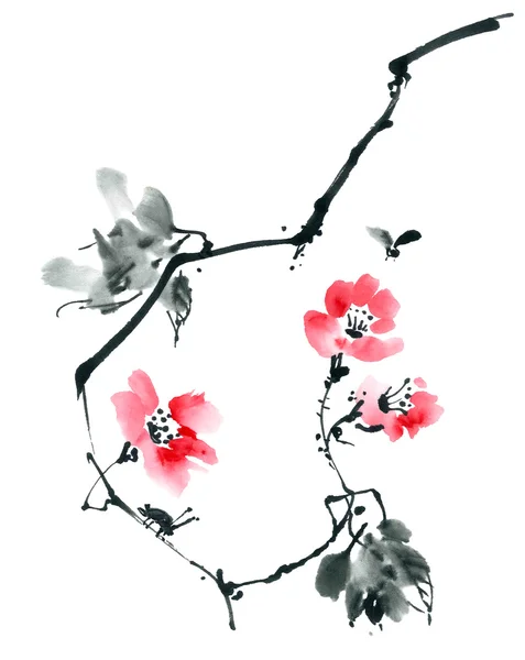 Çiçeği sakura. Çiçek şekil..
