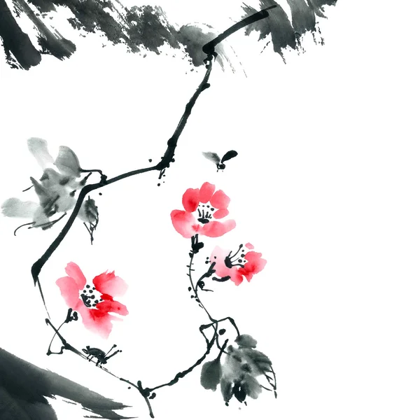 Blossom sakura. Flowers illustration.. — Stock Photo, Image