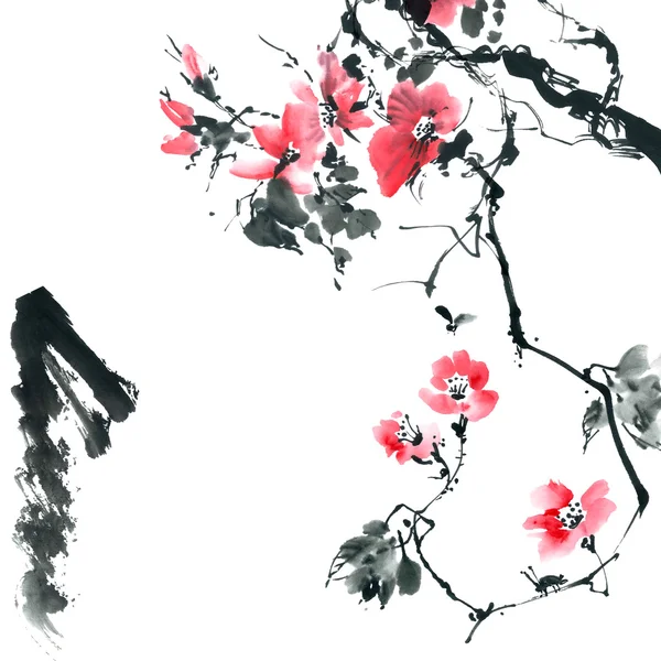 Bloesem sakura. Bloemen illustratie.. — Stockfoto