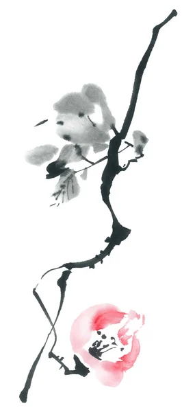 Çiçeği sakura. Çiçek şekil..