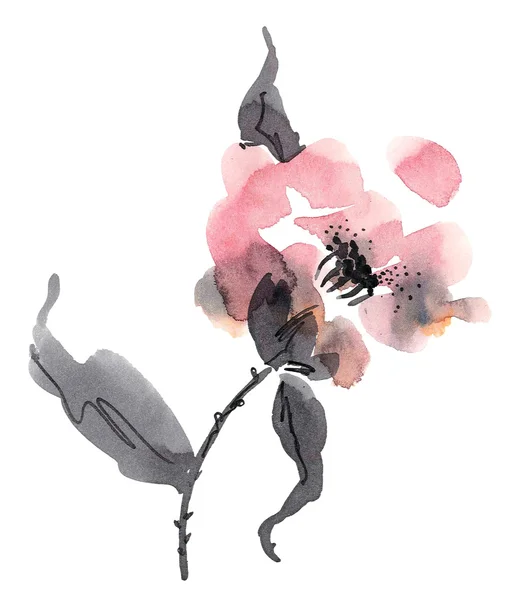 Иллюстрация розовых цветов — стоковое фото