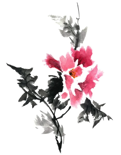 Peônia flor aquarela — Fotografia de Stock