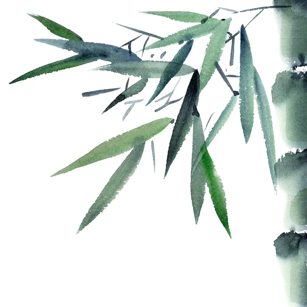 Illustrazione acquerello bambù — Foto Stock