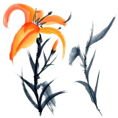 Lily. Çiçek şekil..