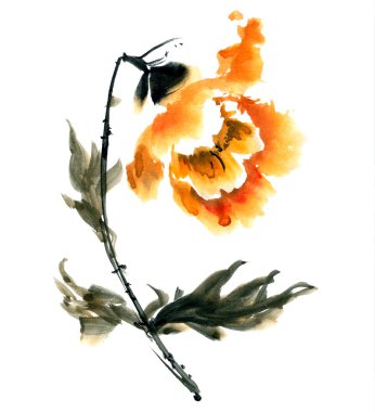 Şakayık. Çiçek şekil..