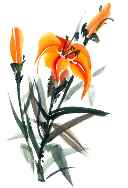 Lily. Illustrazione dei fiori.. — Foto Stock