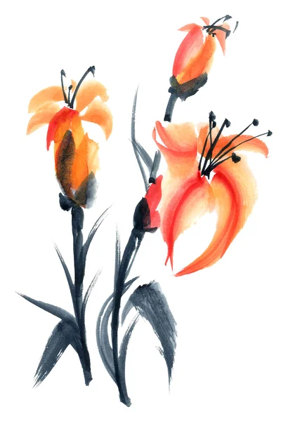 Lily. Blumen-Abbildung.. — Stockfoto