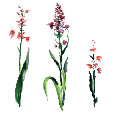 Suluboya çiçek boyalı