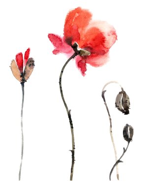 Poppy. Çiçek şekil..