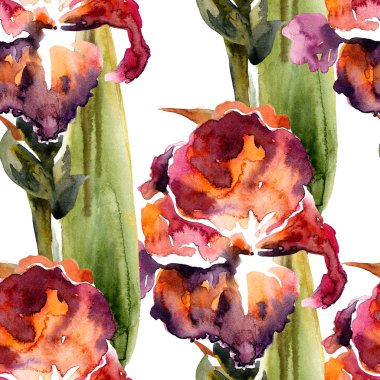 Suluboya Iris çiçek boyalı