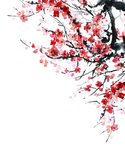 Sakura. Ilustração de flores.. — Fotografia de Stock