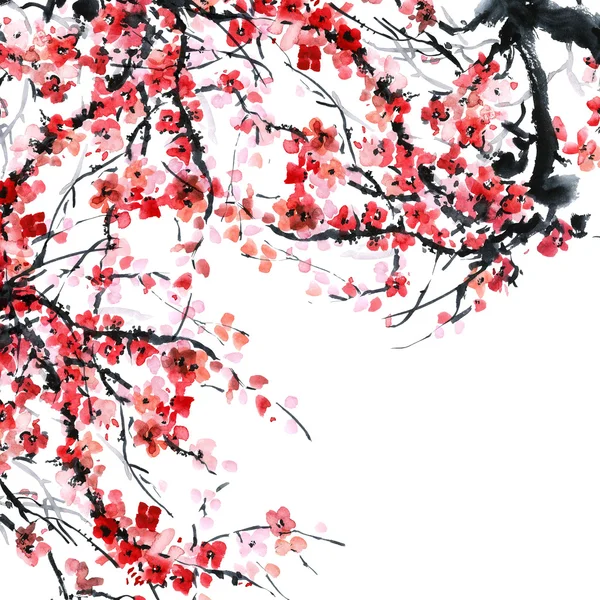 Sakura. Ilustración de flores.. —  Fotos de Stock