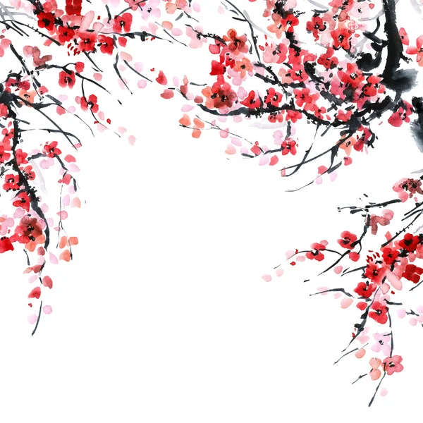 Sakura. Blommor illustration.. — Stockfoto