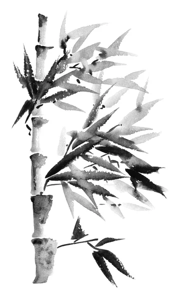 Bambus akvarel ilustrace — Stock fotografie