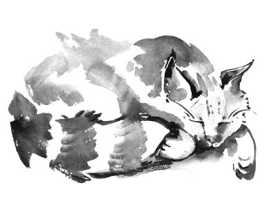 Suluboya uyuyan kedi