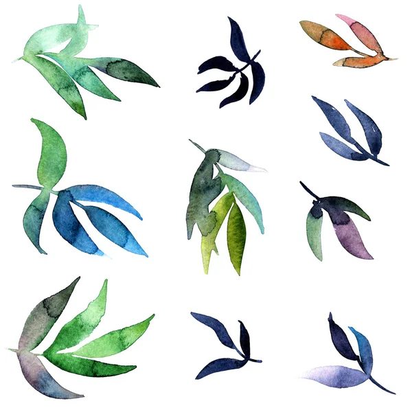 Set foglie acquerello — Foto Stock