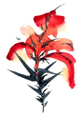 Lily. Çiçek şekil..