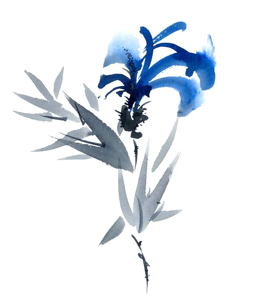 Ilustrace modrý květ — Stock fotografie