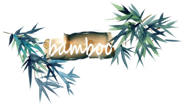 Ilustração aquarela de bambu — Fotografia de Stock