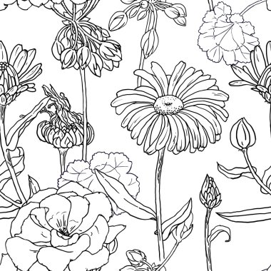 Sardunya ve çuha çiçeği çiçek tomurcukları ve yaprakları ile