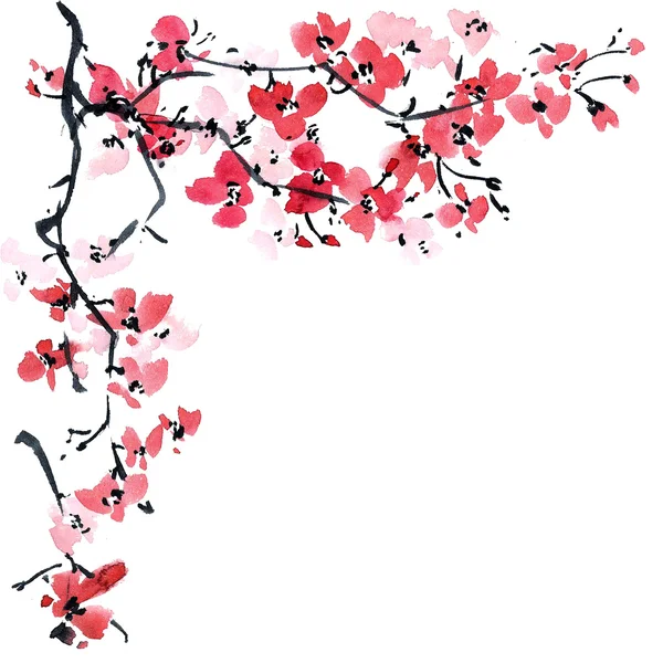 Sakura. Ilustração de flores.. — Fotografia de Stock