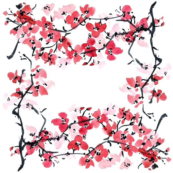 Sakura. Obrázek květiny.. — Stock fotografie