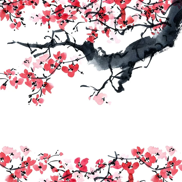 Сакура. Квіти ілюстрація .. — стокове фото