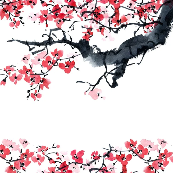 Sakura. Illustrazione dei fiori.. — Foto Stock