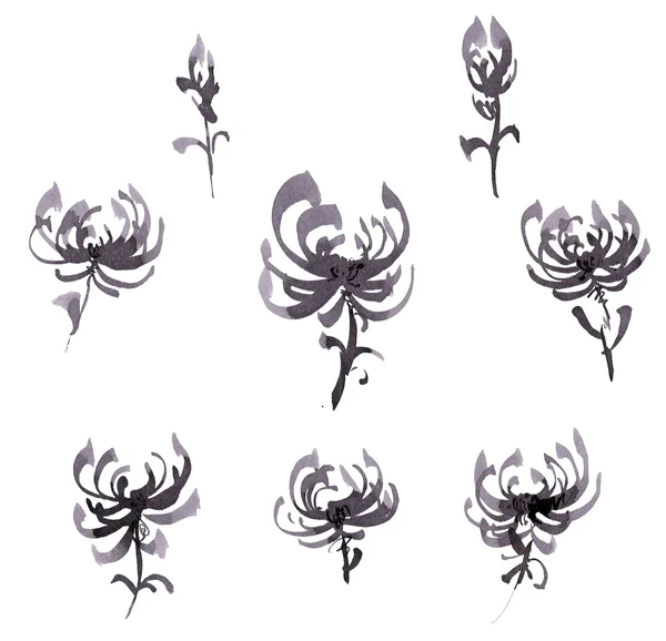 Ink flowers set — Stock Photo, Image