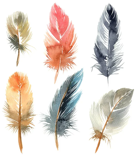 깃털은 수채화의 상징이다 — 스톡 사진