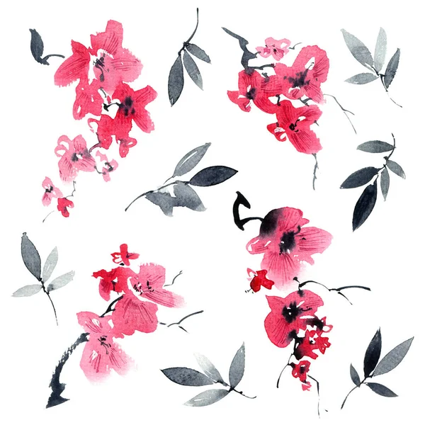 水彩画和水墨画的花朵和粉红色的花和叶子 东方传统绘画风格为苏美 白色背景上的花束和叶子 — 图库照片