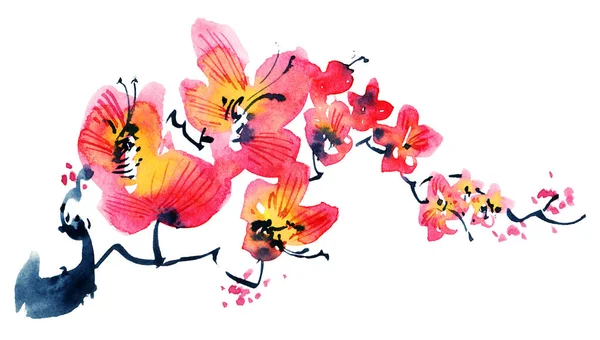 Aquarelle Illustration Encre Sakura Fleuri Avec Des Fleurs Des Bourgeons — Photo