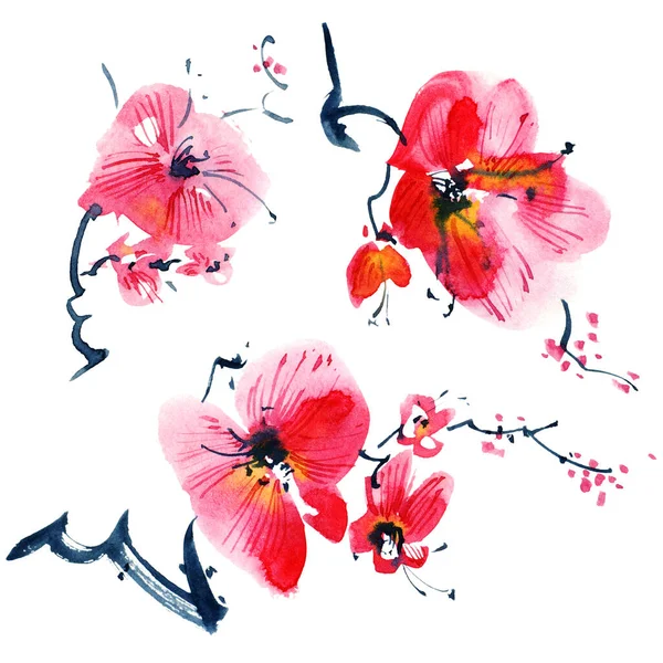 花や蕾を持つ桜の木の水彩や水墨画 様式による東洋の伝統絵画墨絵 Sin Gohua — ストック写真