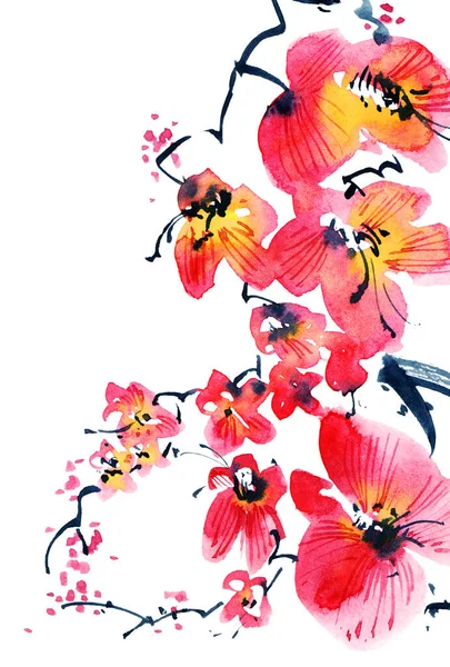 Akwarela Atrament Ilustracja Drzewa Sakura Kwiat Kwiatami Pączkami Orientalne Tradycyjne — Zdjęcie stockowe