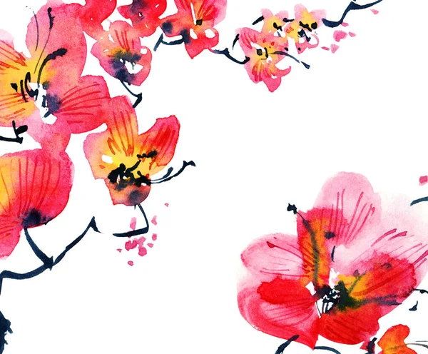 Watercolor Ink Illustration Blossom Sakura Tree Flowers Buds Oriental Traditional — Stock Photo, Image