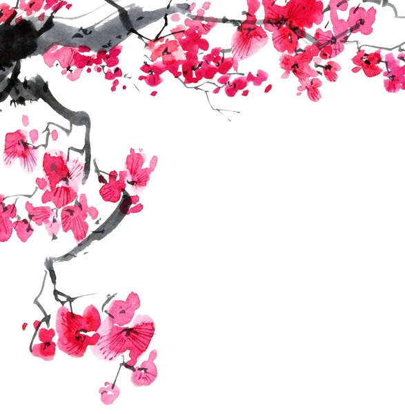 Watercolor Ink Illustration Blossom Sakura Tree Pink Flowers Buds Oriental — Stock Photo, Image
