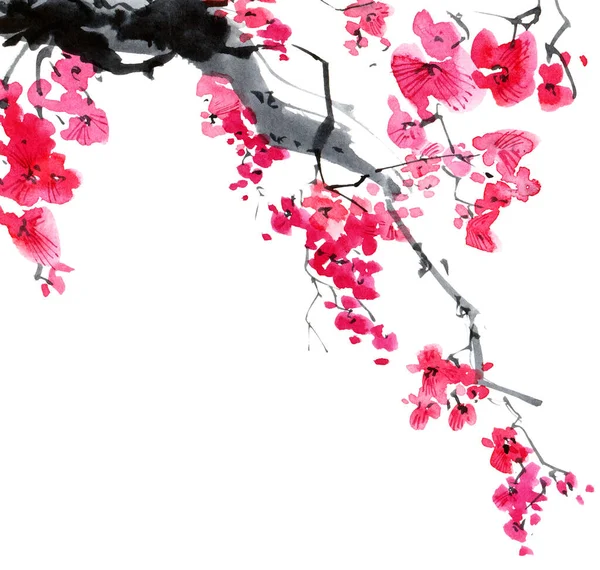 Acquerello Inchiostro Illustrazione Albero Sakura Fiore Con Fiori Rosa Boccioli — Foto Stock