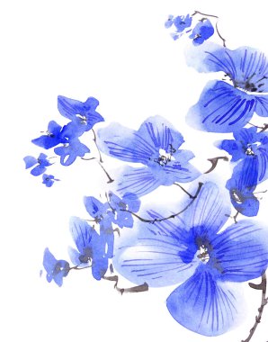 Mavi çiçekli çiçek dalının suluboya ve mürekkep çizimi. Geleneksel oryantal resim tarzı sumi-e, u-sin ve gohua. Tebrik kartı, davet veya kapak için arkaplan tasarımı.