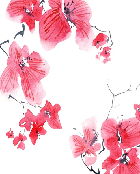 Acquerello Inchiostro Illustrazione Del Ramo Dell Albero Sakura Pittura Orientale — Foto Stock