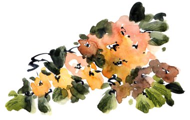 Ağaç dalının çiçek, tomurcuk ve yapraklarla suluboya ve mürekkep çizimi. Geleneksel oryantal resim tarzı sumi-e, u-sin ve gohua..